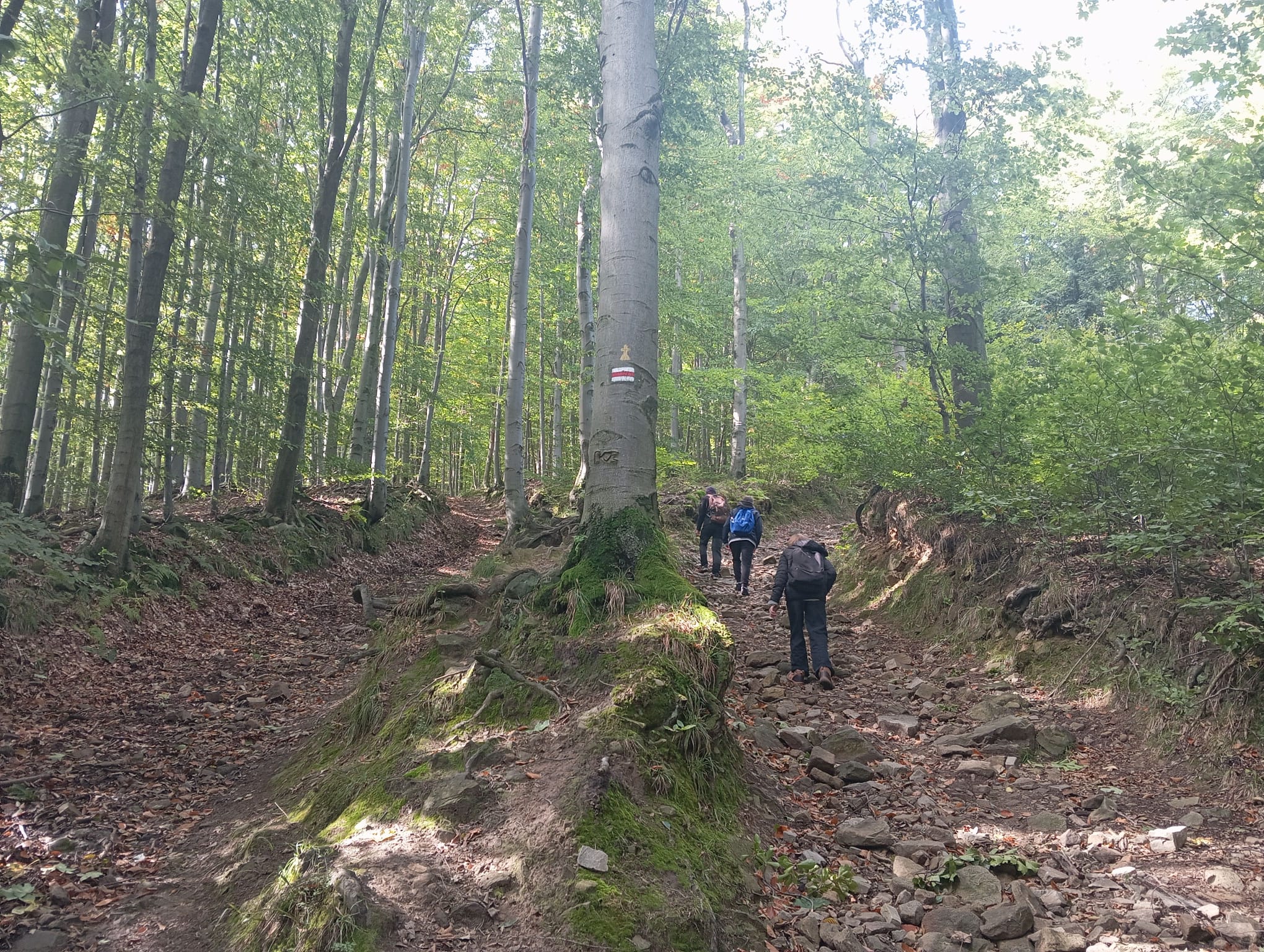 WhatsApp Image 2025 10 16 at 21.58.30 (1)